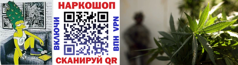 Альфа ПВП Велиж
