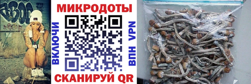 Псилоцибиновые грибы прущие грибы  блэк спрут вход  Велиж 