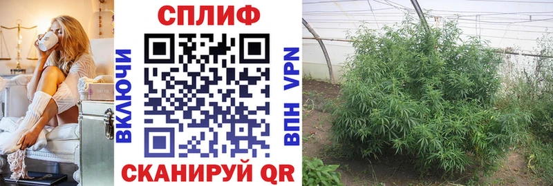 Конопля VHQ Велиж