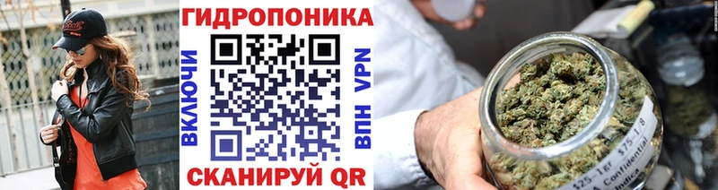 сколько стоит  Велиж  hydra ссылка  Бошки марихуана VHQ 